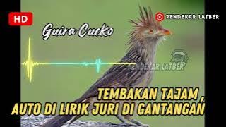 Download lagu MASTERAN MURAI, Tembakan Tajam Guira Cuckoo auto di lirik juri