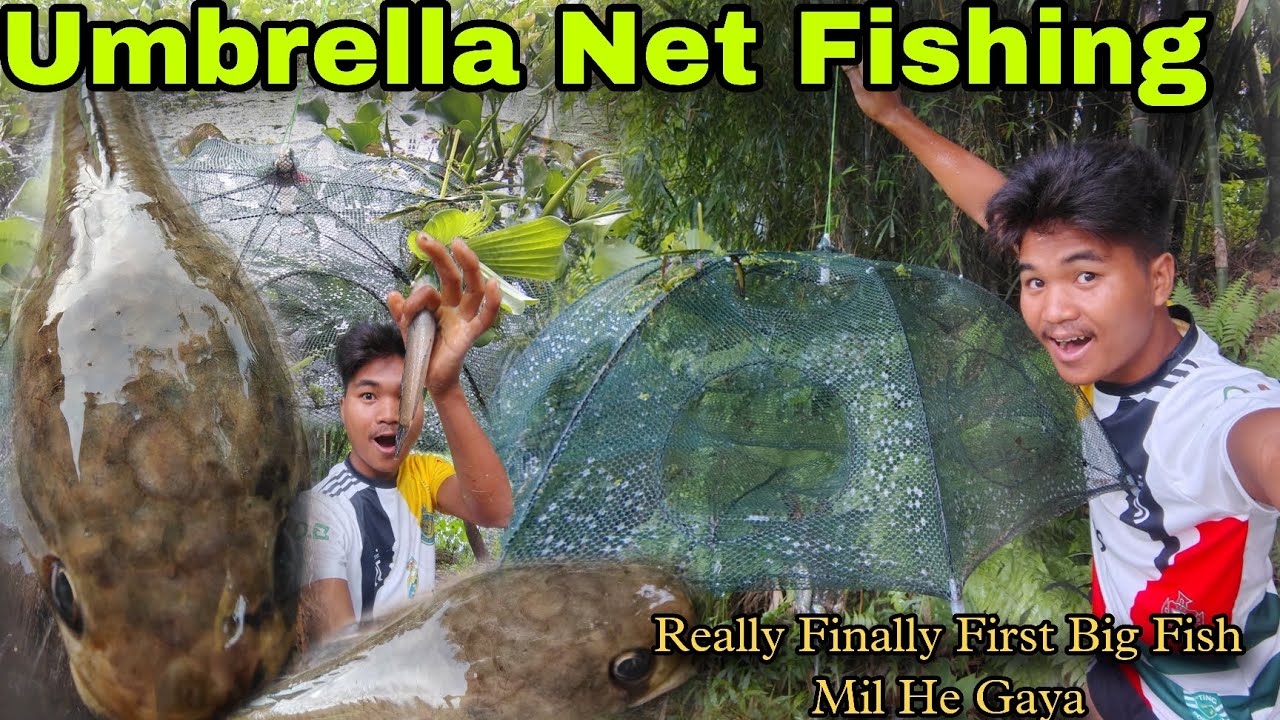 Umbrella Net Fishing 🎣 Aaj Sach Mein Finally First Time Big Fish Mil He Gaya || Village FishingVlogs