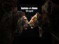 🦁❤️ Jungle Love: Scarface और उसकी रानी Sienna की कहानी 👑 #shorts #facts #animals #lion