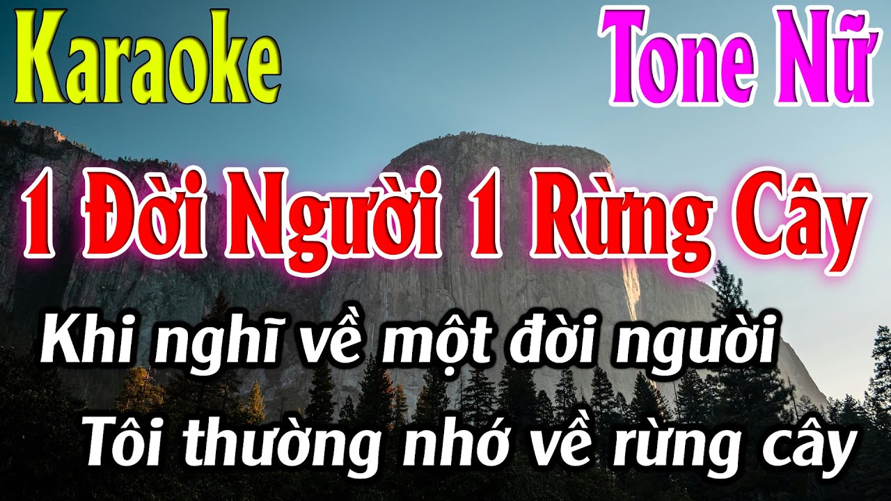 Một Đời Người Một Rừng Cây Karaoke Tone Nữ ( Dm ) Karaoke Lâm Organ