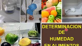 Determinación Humedad Alimentos