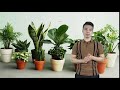 Vứt Ngay Thứ Này Trong Phòng Ngủ Đi Ngay Nếu Không Muốn Gia Đình Ly Tán, Lụi Bại Cả Đời