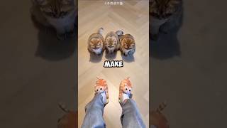 🐱 Cat Fur Slippers 😱 #shorts