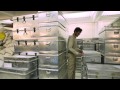 roads of arabia documentar dilmun gerrha