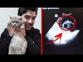 KEDİM POFUDUK HAMİLE VE ULTRASON'a GİRDİ!! * bebekleri gördük!!