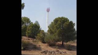 Estabilizado el incendio declarado esta tarde en Cabra del Santo Cristo