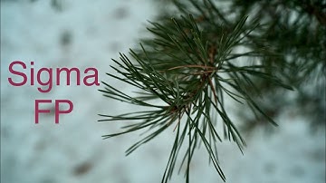 Sigma FP 12 bit Cinema DNG HDR video