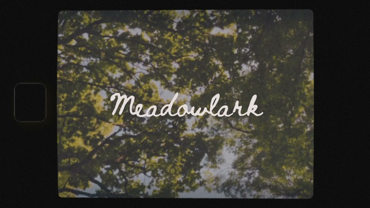 Paul Alan Morris - Meadowlark (Official Video)