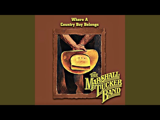 Marshall Tucker Band - Driving You Out Of My Mind