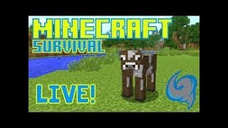 LIVE MINECRAFT SURVIVAL LETS PLAY!