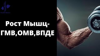 Рост мышц. ГМВ, ОМВ, ВПДЕ и митохондрии!!!