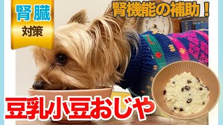 【愛犬手作りご飯】腎機能の補助！排泄促進「豆乳小豆おじや」