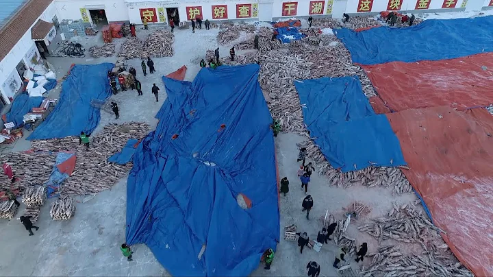 Winter fishing season reaches its peak at Chagan Lake in NE China
