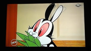 Boomerang UK Bunnicula New Episodes June 2019 Short Promo