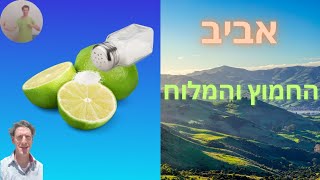 החמוץ והמלוח