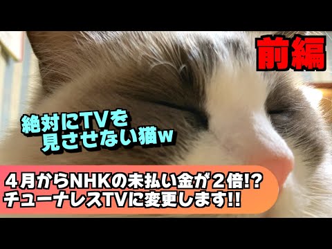 いつもラグドールが目の前で寝るのでTVが見えません(悲)今年の4月からNHKの未払いの割増金が2倍になるのでチューナーレスTVに買い替えようか(前編)【猫のナレーション】