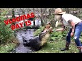 Alligators Blackwater & Thrasher!  VLOGMAS Day 15