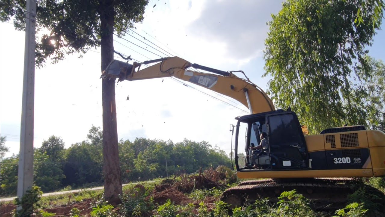 เจอต้นใหญ่ๆแบบนี้จะล้มได้ไหมCAT320D GC