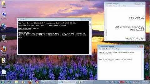 How to Install Oracle DB 11g R2.wmv