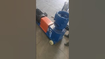 Animal feed pellet machine factory assembly