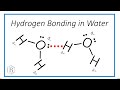 Hydrogen Bonds and Water Properties