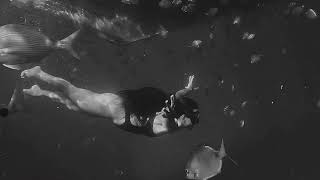 1 De Outubro De 2024