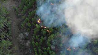 Lamar County Wildfire January 2022