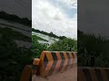 Umar Kumari Kailash mare jhulaniya Na