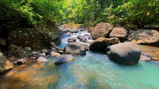 🏞️ RIVERSIDE MASTERY | High-Performance Meditation by Flowing Waters