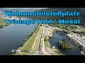 Wohnmobil Stellplatz Riol - Mosel / womoclick