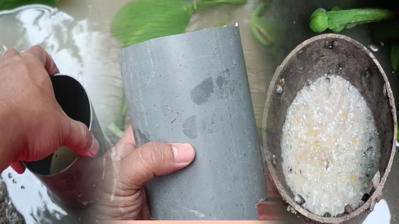 REVIEW TEMPAT PEMIJAHAN DAN CARA PEMASANGANNYA