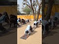 Surya namaskar