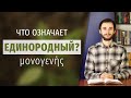 СЫН БОЖИЙ | Что означает слово "Единородный"?