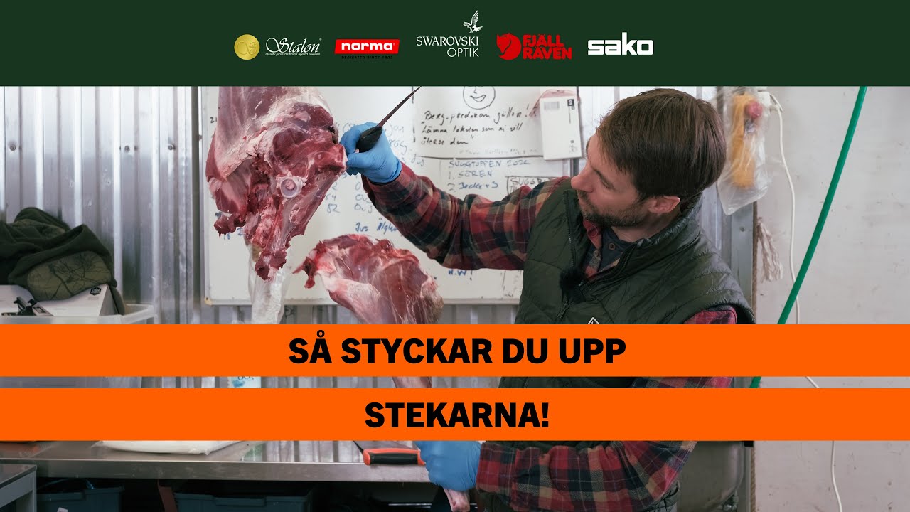 Så styckar du upp stekarna! | BRA JAKT