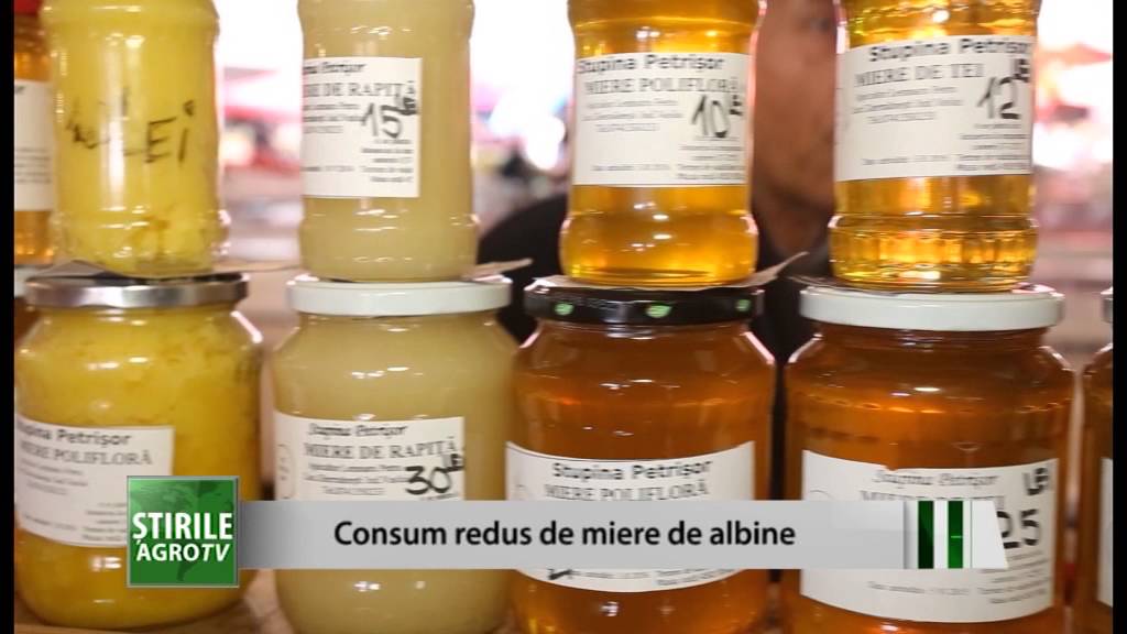 Iași: Consum foarte redus de miere 1 Iași: Consum foarte redus de miere YouTube player