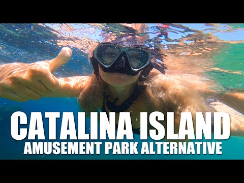 Catalina Island Guide: Yes, a way better option to Amusement parks in California!