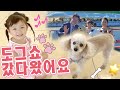 노노카짱♪도그쇼에서 놀고 또 ”강아지 순경 아저씨” 노래도 불렀어요♪