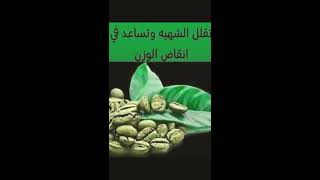 فوائد القهوه الخضراء للجسم ?️?️?️