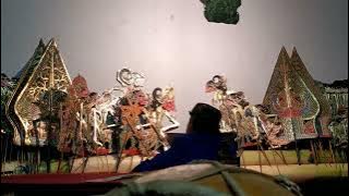 gedog tamu ki soerjadi #wayangkulit #wayangjawatimuran