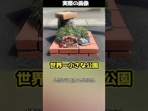 たった50cm四方!?静岡にある“世界一小さな公園”とは!#shorts