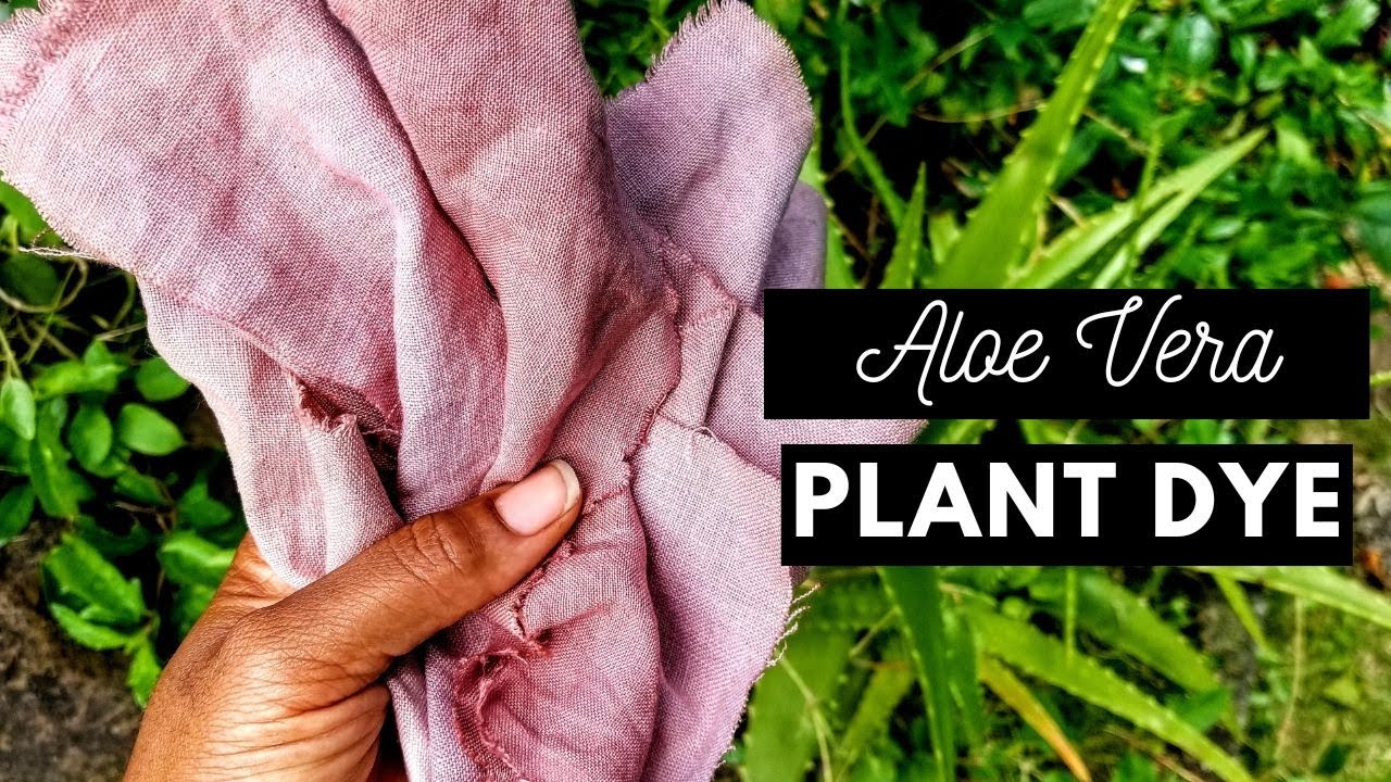 How to Make Natural Plant Dye From Aloe Vera Leaves