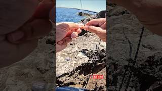 60sec FG Knot?