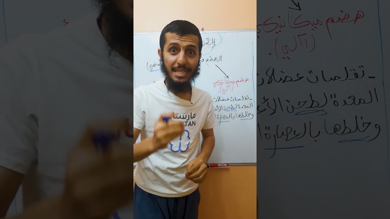 الهضم في المعدة #الرابعة_متوسط #رابعة_متوسط #bem2024