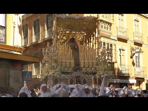 Real, Ilustre y Venerable Hermandad Sacramental de Nuestro Padre Jesús Nazareno de los Pasos en el Monte Calvario y María Santísima del Rocío Coronada