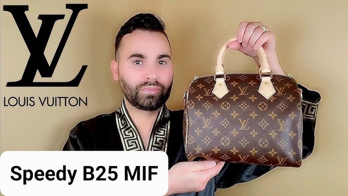 Louis Vuitton Speedy 25 Bag Liner – Luxe Collective