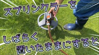 【芝生】スプリンクラーをしばらく置いたままにしておくと・・・・