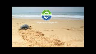 11. Sualtı Atık Sergimiz Başlıyor