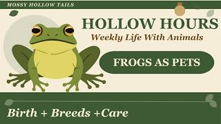 All About Pet Frogs, Everything You Need To Know About Frogs As Pets