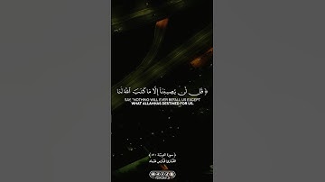 سورة التوبة : ٥١ || القارئ فارس عباد |