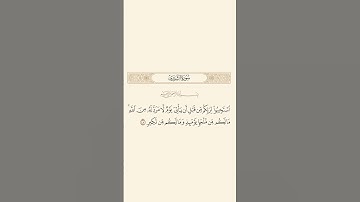 سورة الشورى: الآية 47 #قرآن #قران_كريم #quran #سورة_الشورى